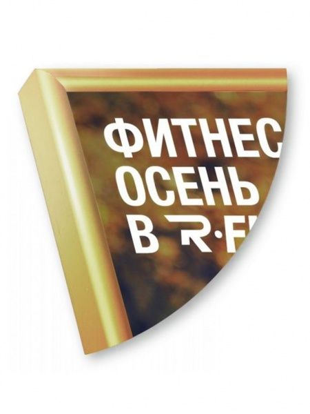 Рамка Нельсон 02, А2,  золото глянец анодир. в Красноярске - картинка, изображение, фото